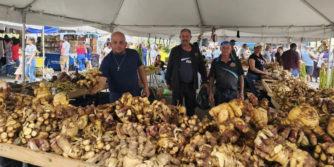 Festival del Apio 2026